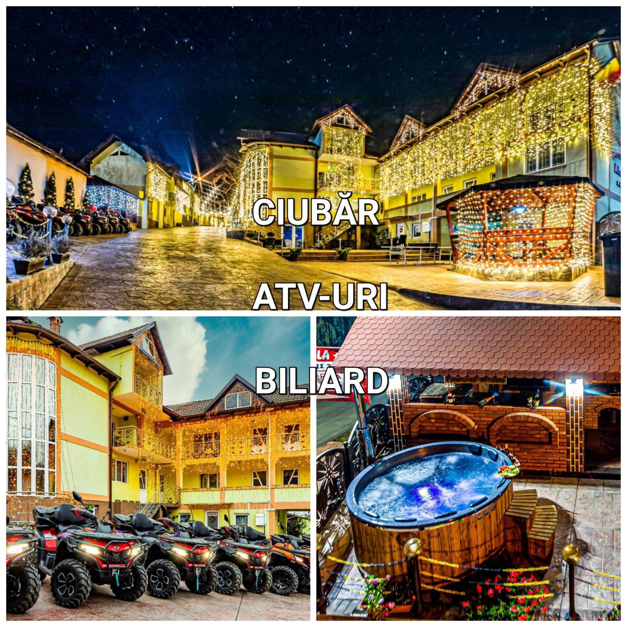 Pensiunea Mihaela-Transalpina Novaci-Străini Dış mekan fotoğraf