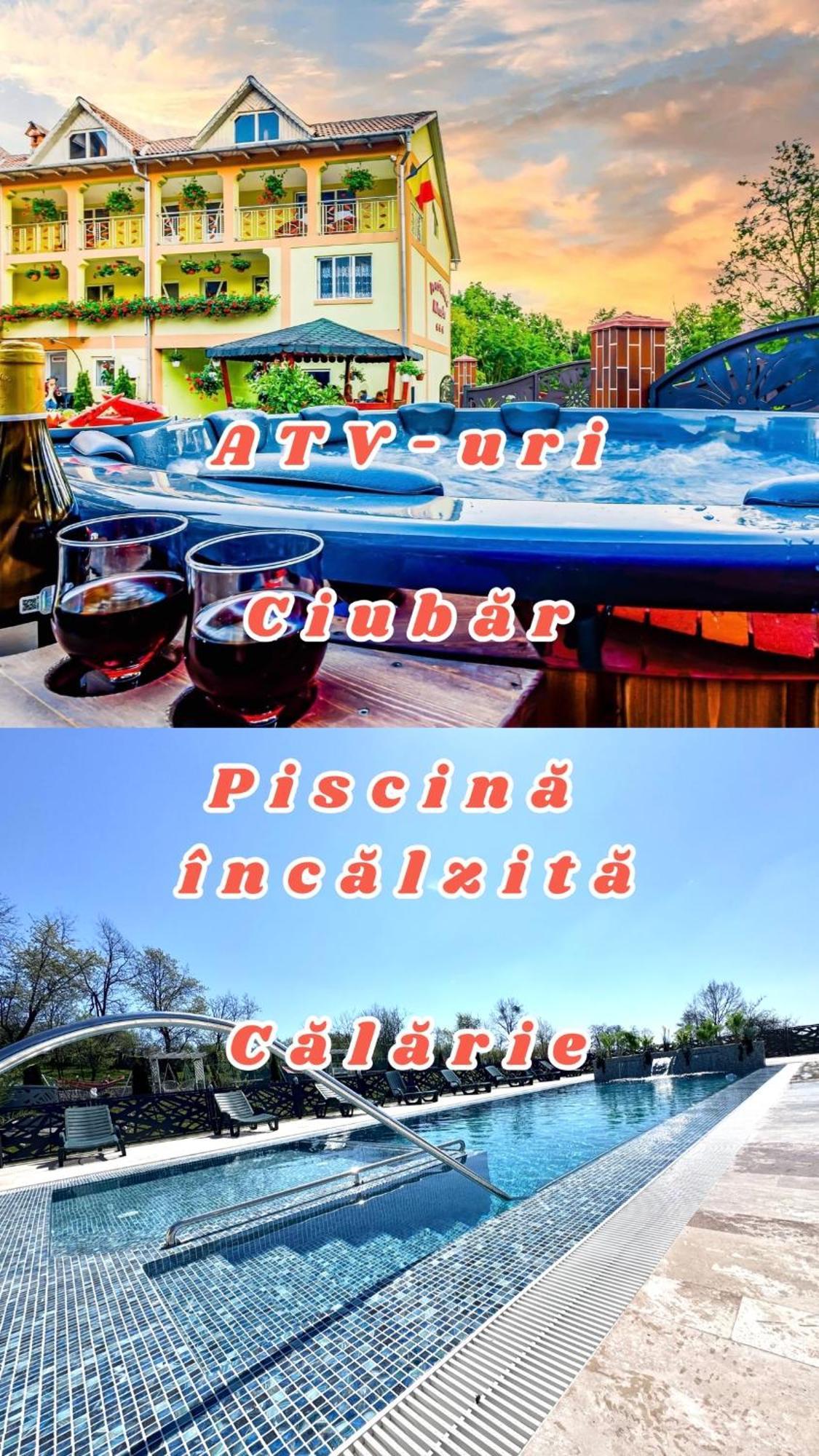 Pensiunea Mihaela-Transalpina Novaci-Străini Dış mekan fotoğraf